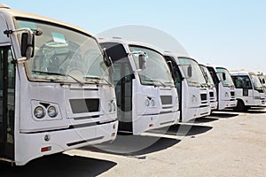 Row of buses waiting on bus station near port