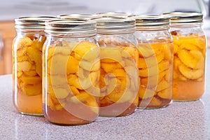 Row of canned peaches