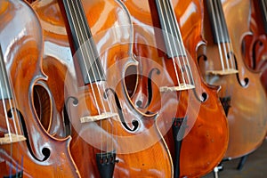 Row of Cellos Along a Wall