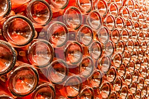 A row of champagne bottles - Wine cellar