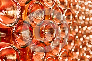 A row of champagne bottles - Wine cellar