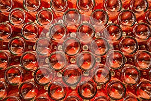 A row of champagne bottles - Wine cellar