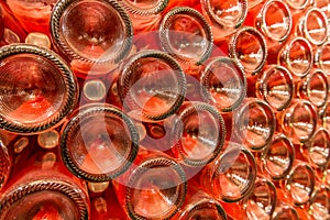 A row of champagne bottles - Wine cellar