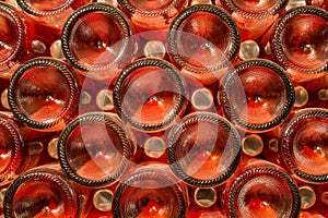A row of champagne bottles - Wine cellar