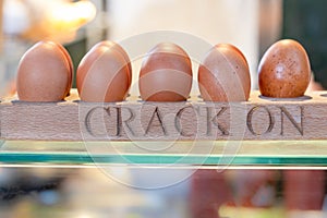 Row of chicken eggs in an egg holder on a market stall