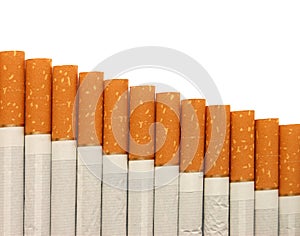 Row of cigarettes on white background