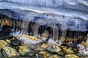 Row of clean transparent icicles hanging in cold forest creek water flow