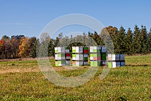 Row of clorful bee hive boxes in a Wisconsin field