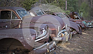 A row of collected rusty abandoned automobiles