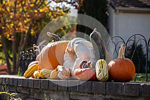 Row of colorful decorative pumpkins set on a brick surface outside a house on a sunny autumn day