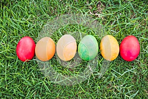 Row of Colorful Easter Eggs with Daisy