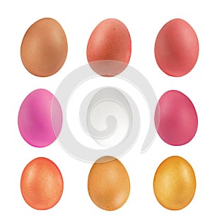 Row colorful of eggs isolated on white background