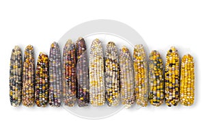 Row of colorful gem glass corn on cob