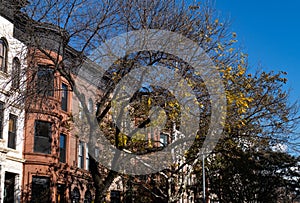 Row of Colorful Old Brownstone Homes in Prospect Heights Brooklyn during Autumn