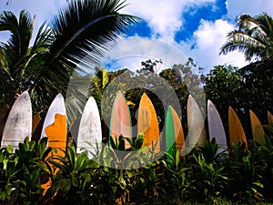 Row of colorful surfboards staked as a fence in Hawaii