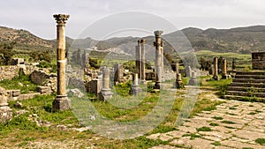 Row of columns flanking the Capitoline Temple in the Archaeological Site of Volubilis in Morocco.