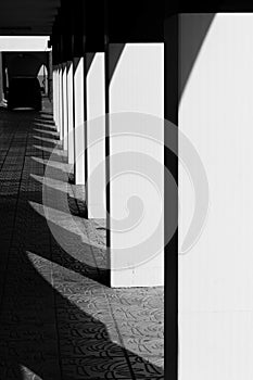 Row of columns with high contrast shadows on street building