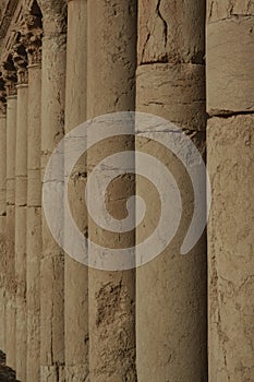 Row of Columns in Palmyra