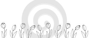 Row of contour tulip flowers. Vector hand drawn spring background isolated. Horizontal bottom edging, border, decoration for