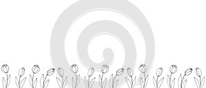 Row of contour tulip flowers. Vector hand drawn spring background isolated. Horizontal bottom edging, border, decoration for