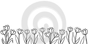 Row of contour tulip flowers. Vector hand drawn spring background isolated. Horizontal bottom edging, border, decoration for