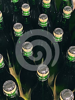 Row of corked bottles