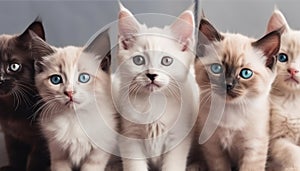 A row of cute kittens staring with playful blue eyes generated by AI