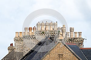 Row of cute wild birds sat on top of beautiful old group of Victorian era period chimney pots