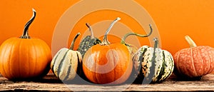 Row of decorative pumpkins on wooden table on orange background. Happy Halloween, Thanksgiving holiday banner design