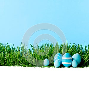 Row of Easter Eggs in grass