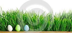 Row of Easter Eggs in grass
