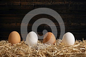 Row of eggs on hay bale