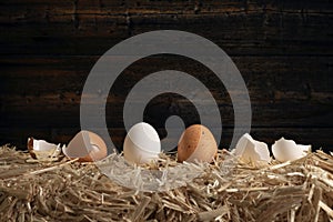 Row of eggs on hay bale