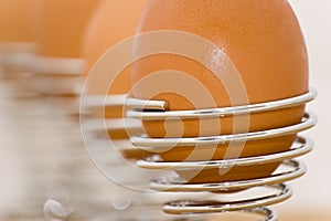 Row of eggs in holders