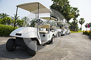 row of electric golf carts