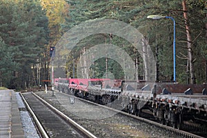 Row of empty freight wagons on a station in the forest