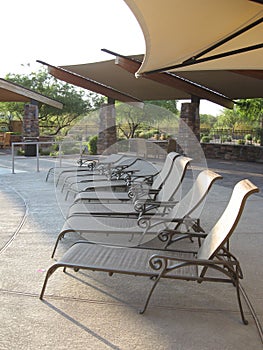A row of empty lounge chairs