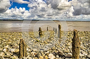 A row of eroded wooden posts on a pebbly beach.