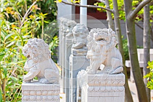 Row of fierce stone lion figures one facing the camera