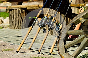 Row of fishing rods fishing