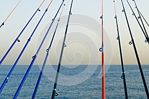 A row of fishing rods lined up to the sea.