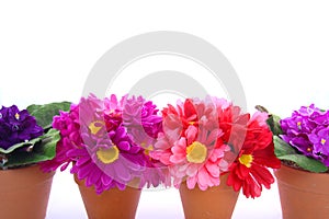 Row of flower pots