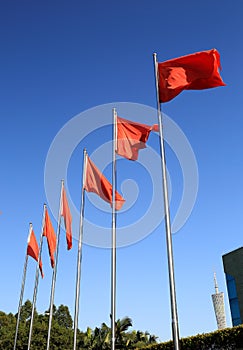 flying red flags flag