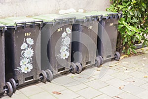 Row of garbage containers, some decorated to make them beautiful, in the city against an old cement wall. A green plant next to th