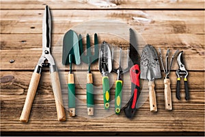 Row of gardening tools on wooden background