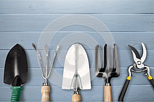 Row of gardening tools on wooden background