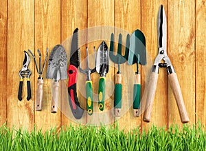 Row of gardening tools on wooden background