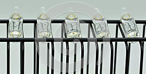 Row of glass ampoules photo