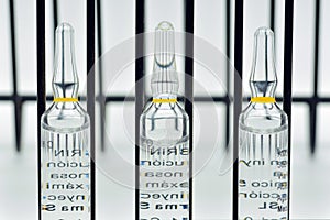 Row of glass ampoules photo