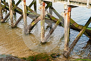 Row of gnarly old wooden supports for an old jetty